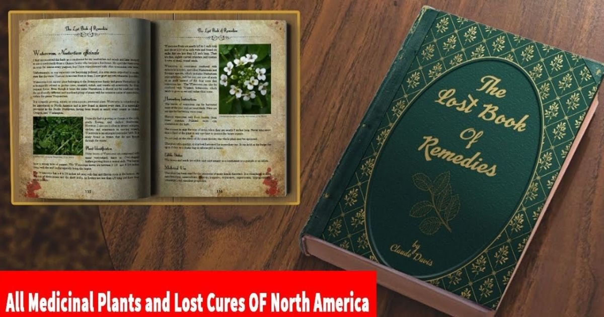 The Lost Book of Herbal Remedies PDF